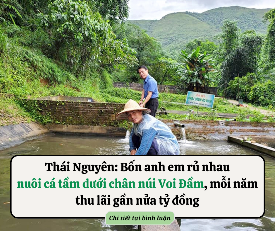 Cụ ông 70 tuổi còng lưng gánh hàng lên Yên Tử: Du khách nghe hoàn cảnh ai cũng thương và rủ nhau giúp đỡ