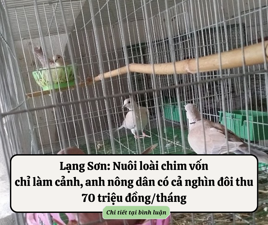 10 tư duy đổi đời do hàng chục tỷ phú đúc kết lại