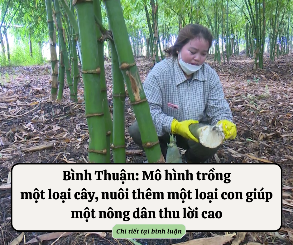 Từ nay, ra đâu để công chứng sổ đỏ? Đã có quy định rõ ràng, chi phí tới mức nào mà nhiều người kêu đắt quá?