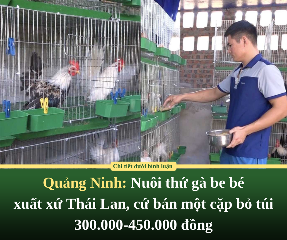 Nguyên nhân vụ tai nạn xe khách ở Tuyên Quang khiến 5 người tử vong