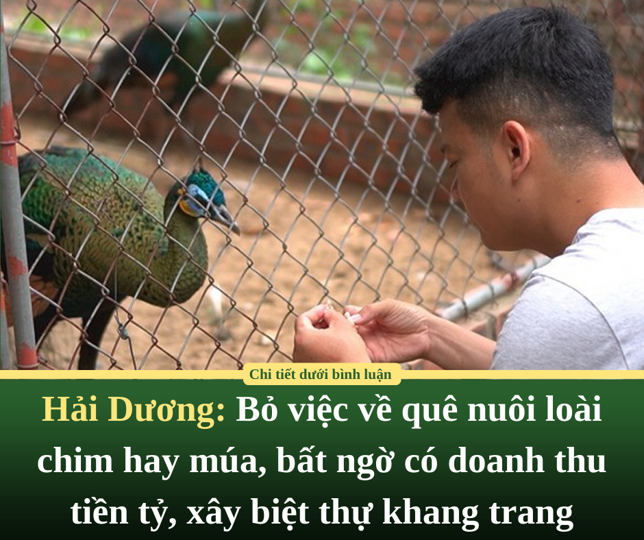 Từ năm 2024, có 8 trường hợp xây dựng không phép, trái phép không bị phá dỡ