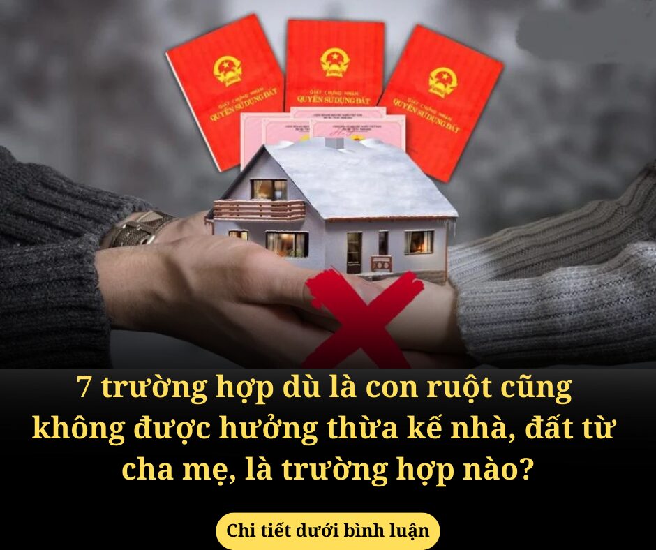 7 trường hợp dù là con ruột cũng không được hưởng thừa kế nhà, đất từ cha mẹ, là trường hợp nào?