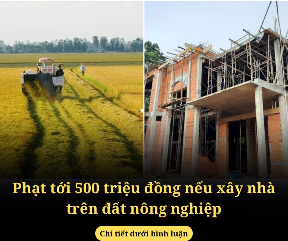 Phạt tới 500 triệu đồng nếu xây nhà trên đất nông nghiệp