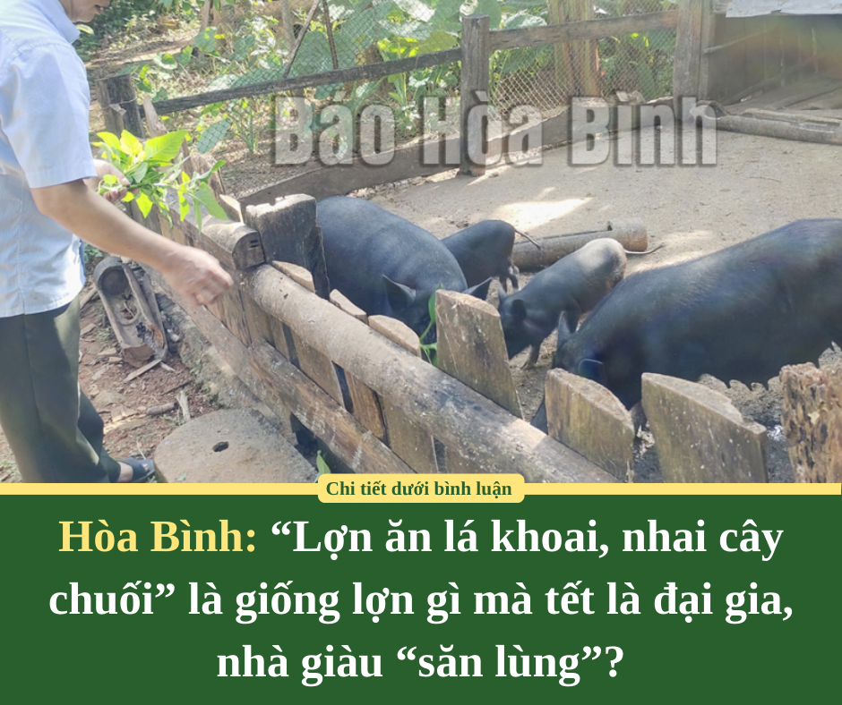 12 sai lầm “chí mạng” khiến tiền của bạn không cánh mà bay