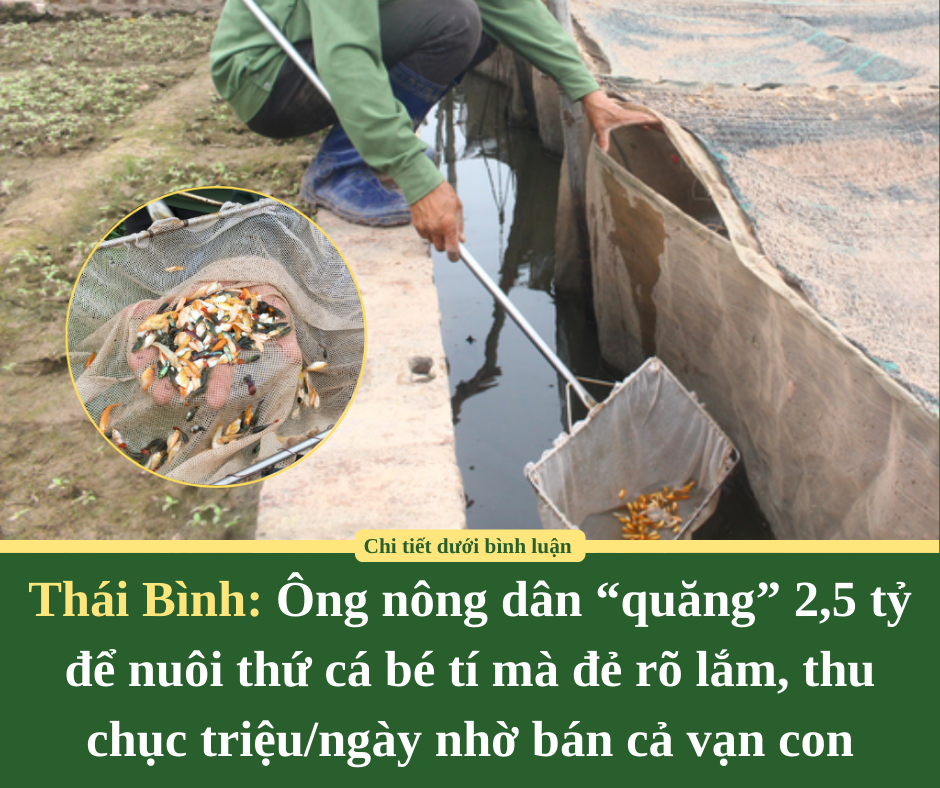 Muốn chuyển từ đất trồng cây lâu năm sang đất ở phải làm những gì?