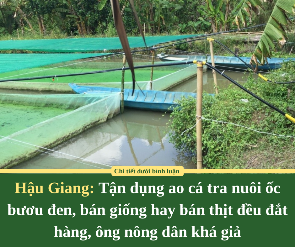 ViruSs lên tiếng khi phía Jack đòi liên hệ làm việc: “Ai muốn mời tôi thì đến nhà gõ cửa, có phải trẻ con đâu…”