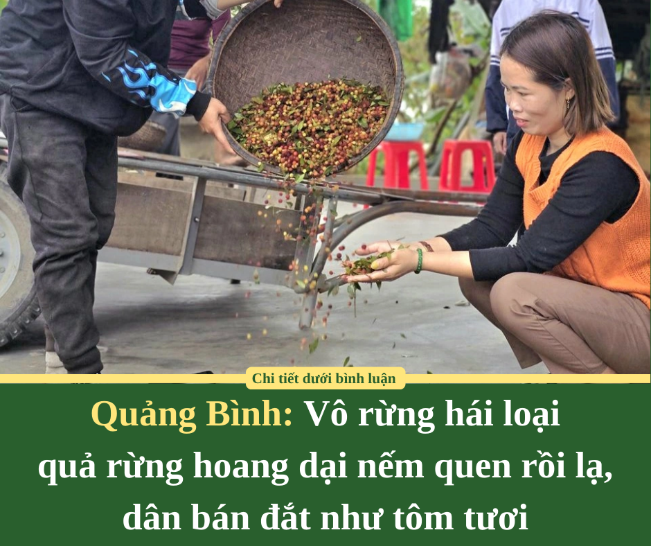 Vì sao cổ nhân lại nói: “Nam sợ ba gật, nữ sợ bước dài”?