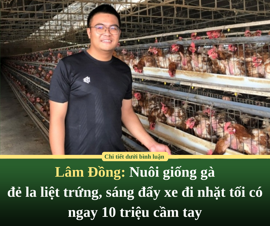 Cách loại bỏ dứt điểm sự trì hoãn chỉ trong 2 phút