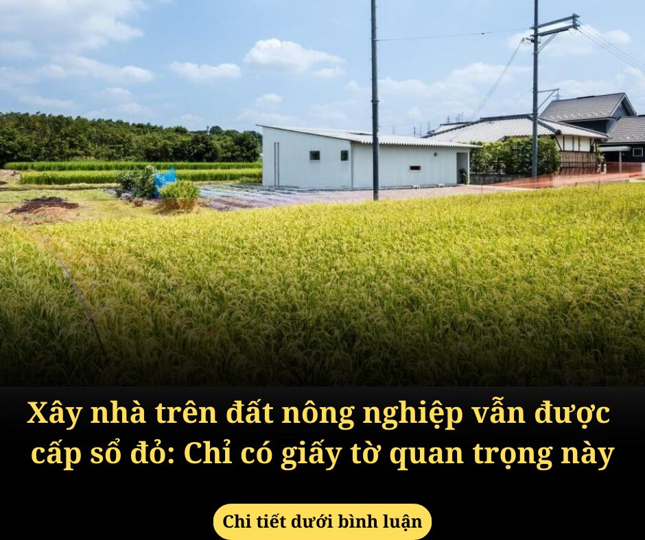 Xây nhà trên đất nông nghiệp vẫn được cấp sổ đỏ: Chỉ có giấy tờ quan trọng này