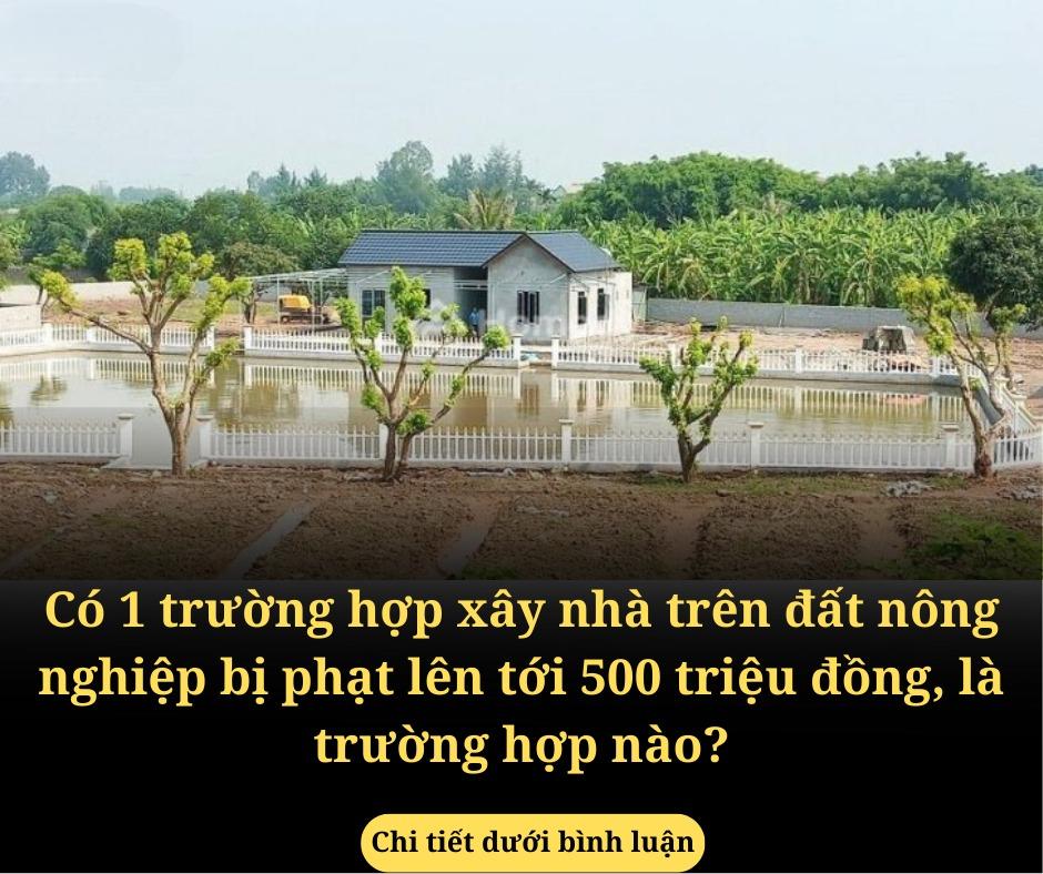 03 trường hợp đất không có giấy tờ trước 7/2024 được cấp sổ đỏ