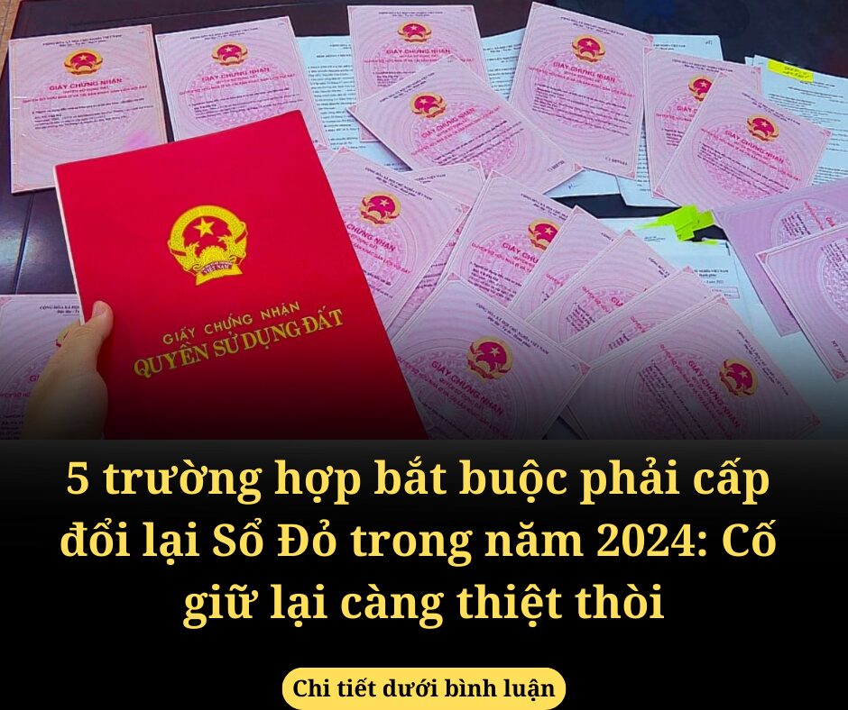 5 trường hợp bắt buộc phải cấp đổi lại Sổ Đỏ trong năm 2024: Cố giữ lại càng thiệt thòi