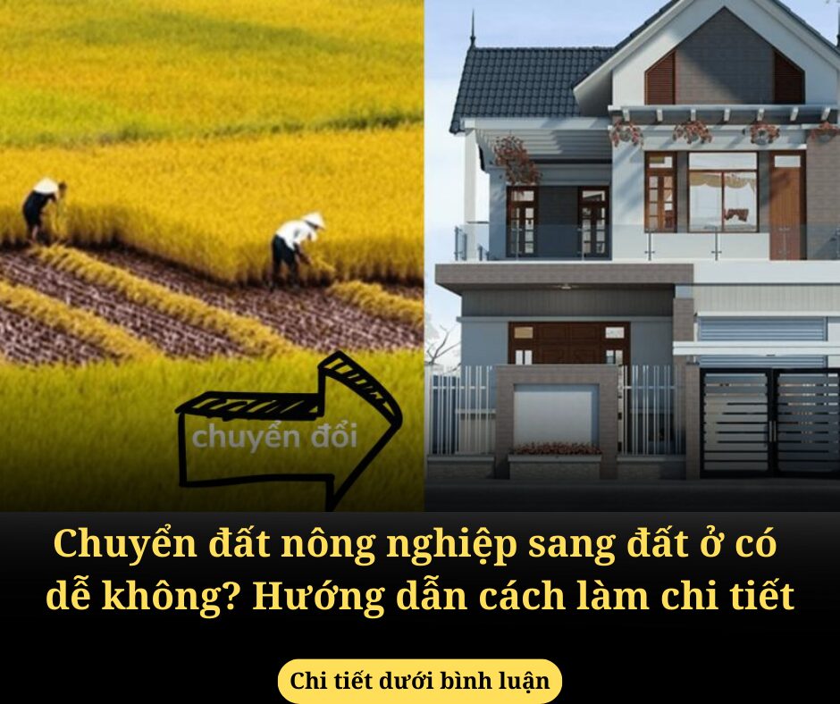 Chuyển đất nông nghiệp sang đất ở có dễ không? Hướng dẫn cách làm chi tiết