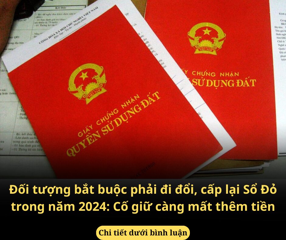 Đối tượng bắt buộc phải đi đổi, cấp lại Sổ Đỏ trong năm 2024: Cố giữ càng mất thêm tiền