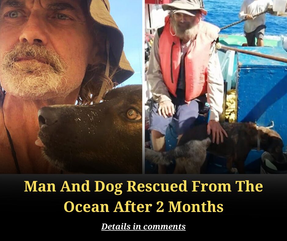 Man And Dog Rescued From The Ocean After 2 Months