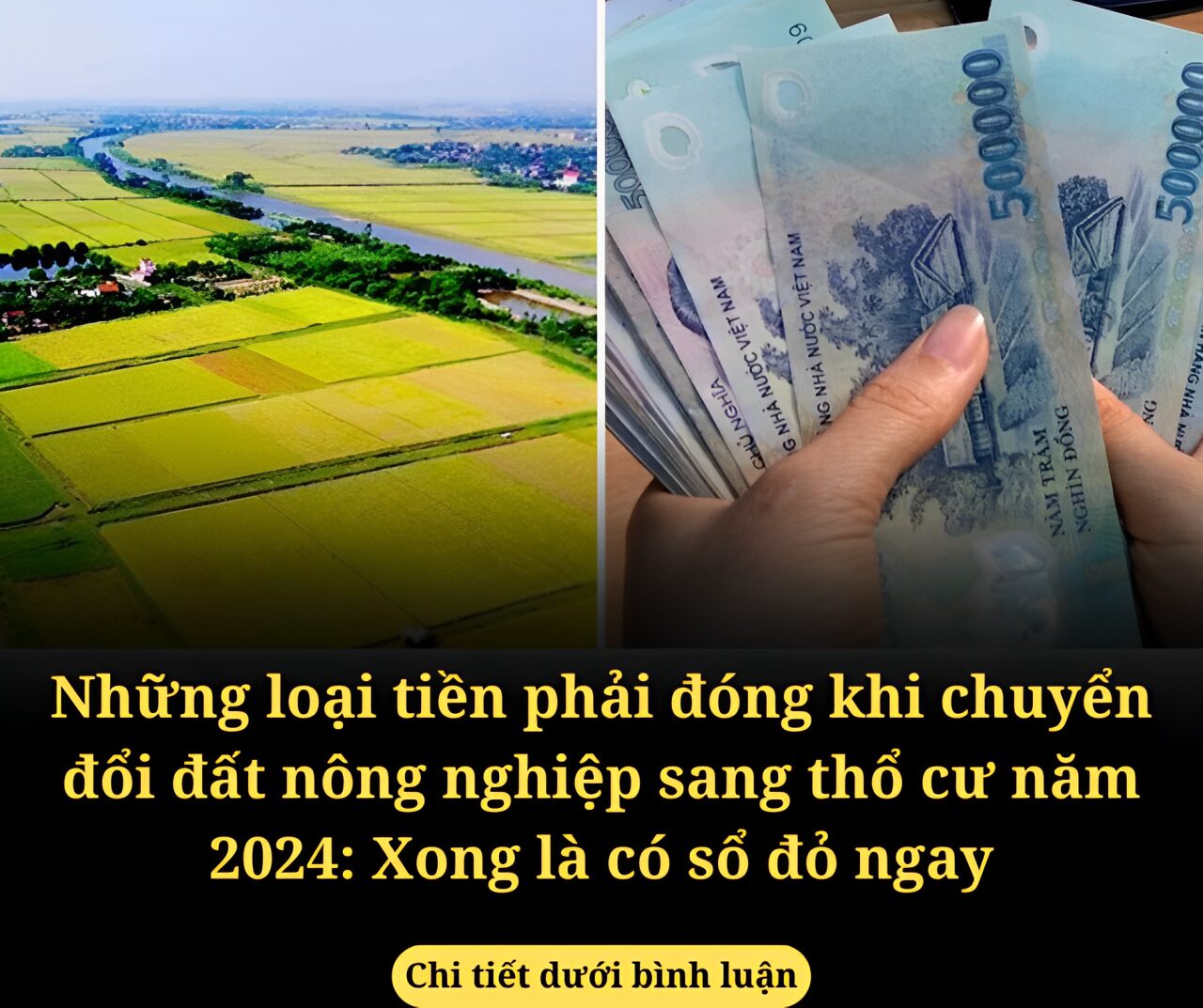 Những loại tiền phải đóng khi chuyển đổi đất nông nghiệp sang thổ cư năm 2024: Xong là có sổ đỏ ngay