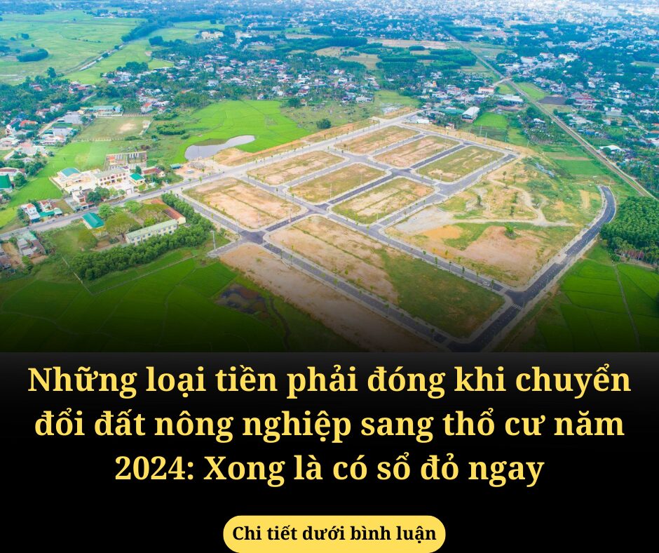 Những loại tiền phải đóng khi chuyển đổi đất nông nghiệp sang thổ cư năm 2024: Xong là có sổ đỏ ngay