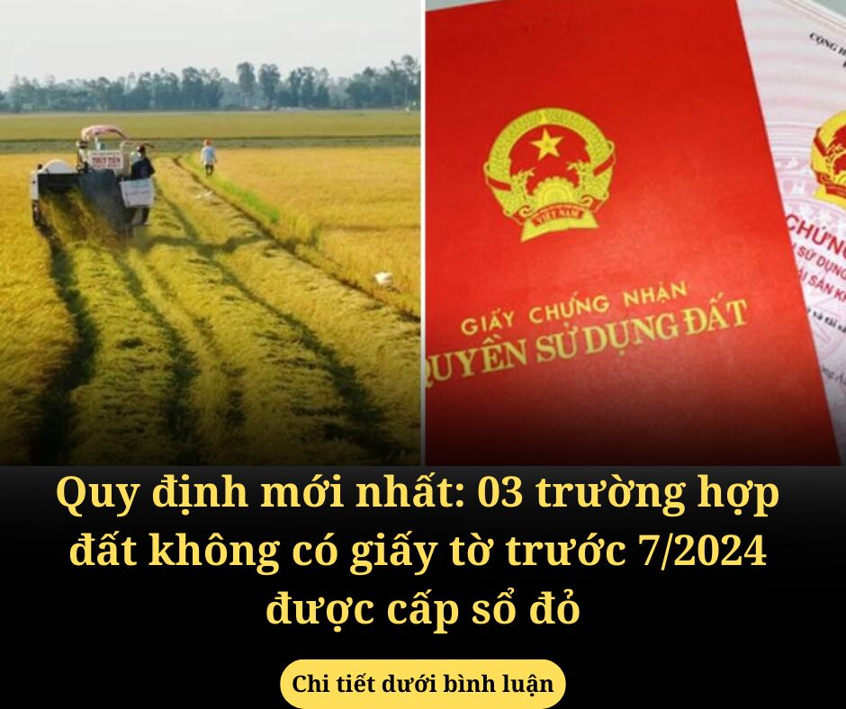 Quy định mới nhất: 03 trường hợp đất không có giấy tờ trước 7/2024 được cấp sổ đỏ