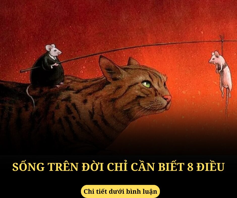 Sống trên đời chỉ cần biết 8 điều