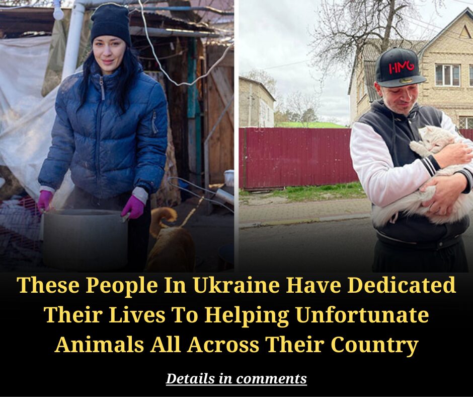 These People In Ukraine Have Dedicated Their Lives To Helping Unfortunate Animals All Across Their Country