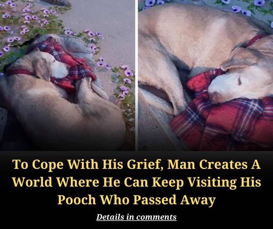 To Cope With His Grief, Man Creates A World Where He Can Keep Visiting His Pooch Who Passed Away