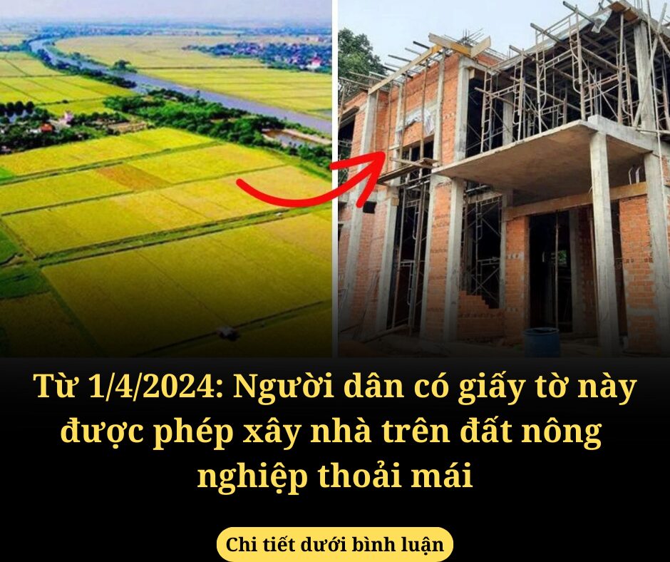 Từ 1/4/2024: Người dân có giấy tờ này được phép xây nhà trên đất nông nghiệp thoải mái