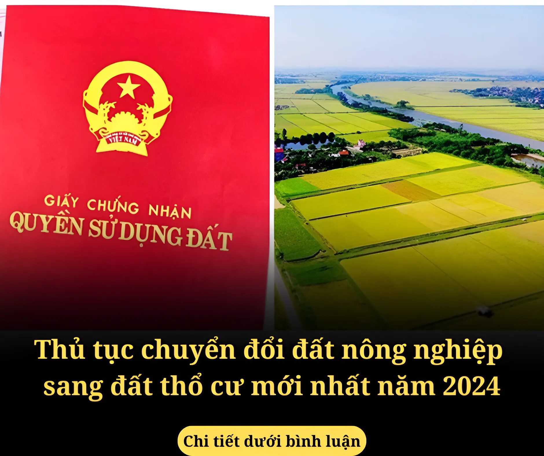 Thủ tục chuyển đổi đất nông nghiệp sang đất thổ cư mới nhất năm 2024