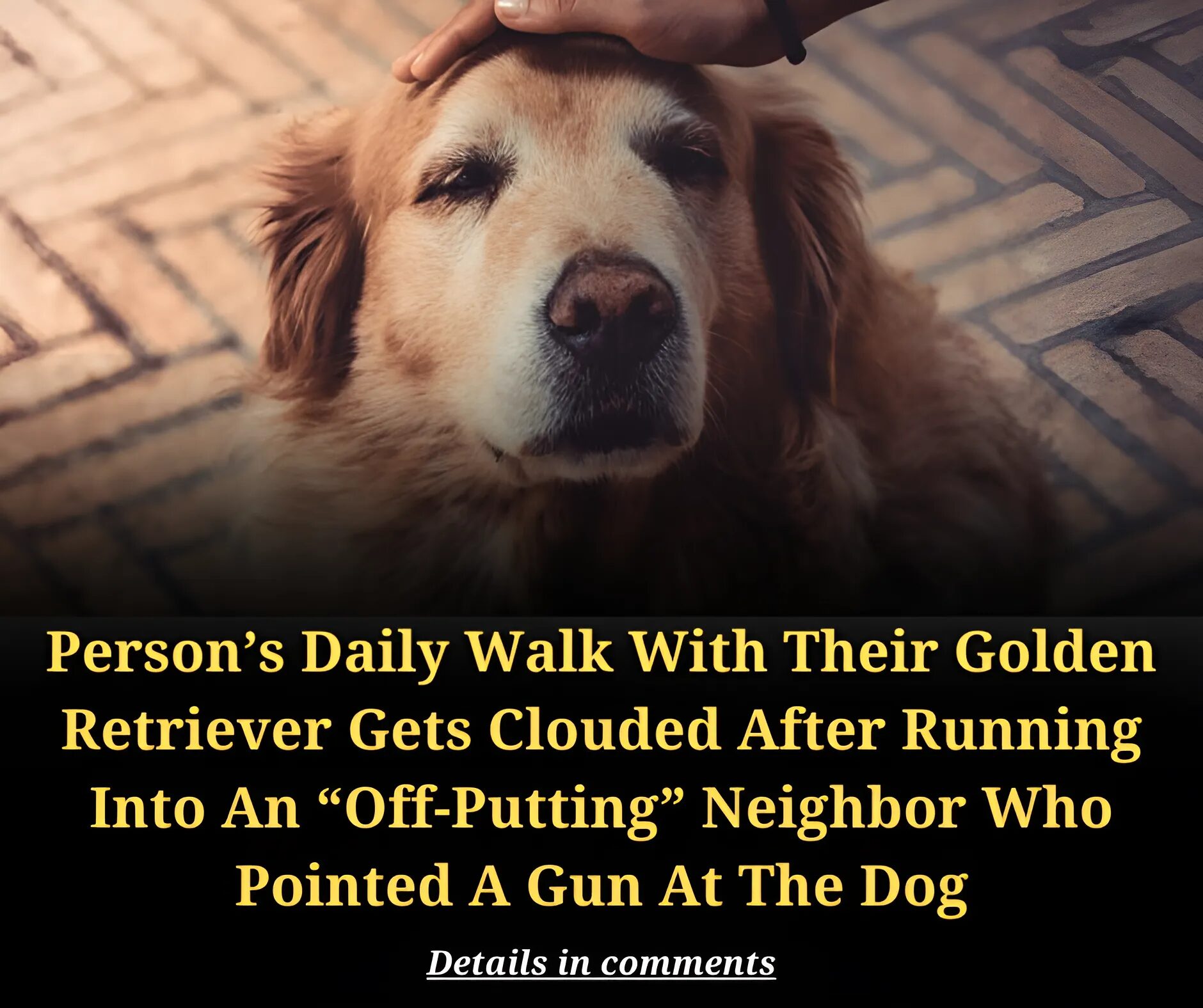 Person’s Daily Walk With Their Golden Retriever Gets Clouded After Running Into An “Off-Putting” Neighbor Who Pointed A Gun At The Dog