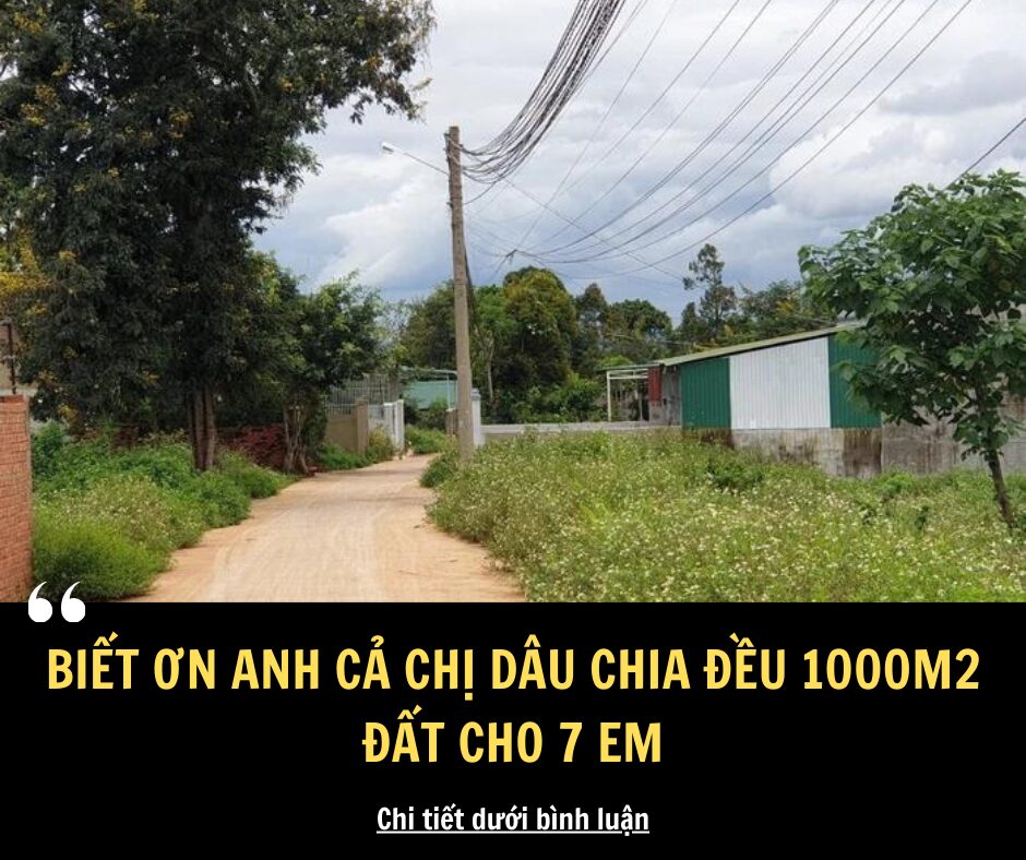 Biết ơn anh cả và chị dâu chia đều 1.000 m2 đất cho 7 em