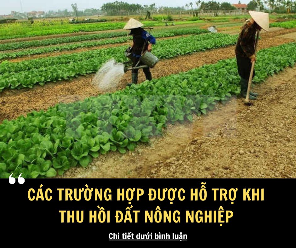 Các trường hợp được hỗ trợ khi thu hồi đất nông nghiệp