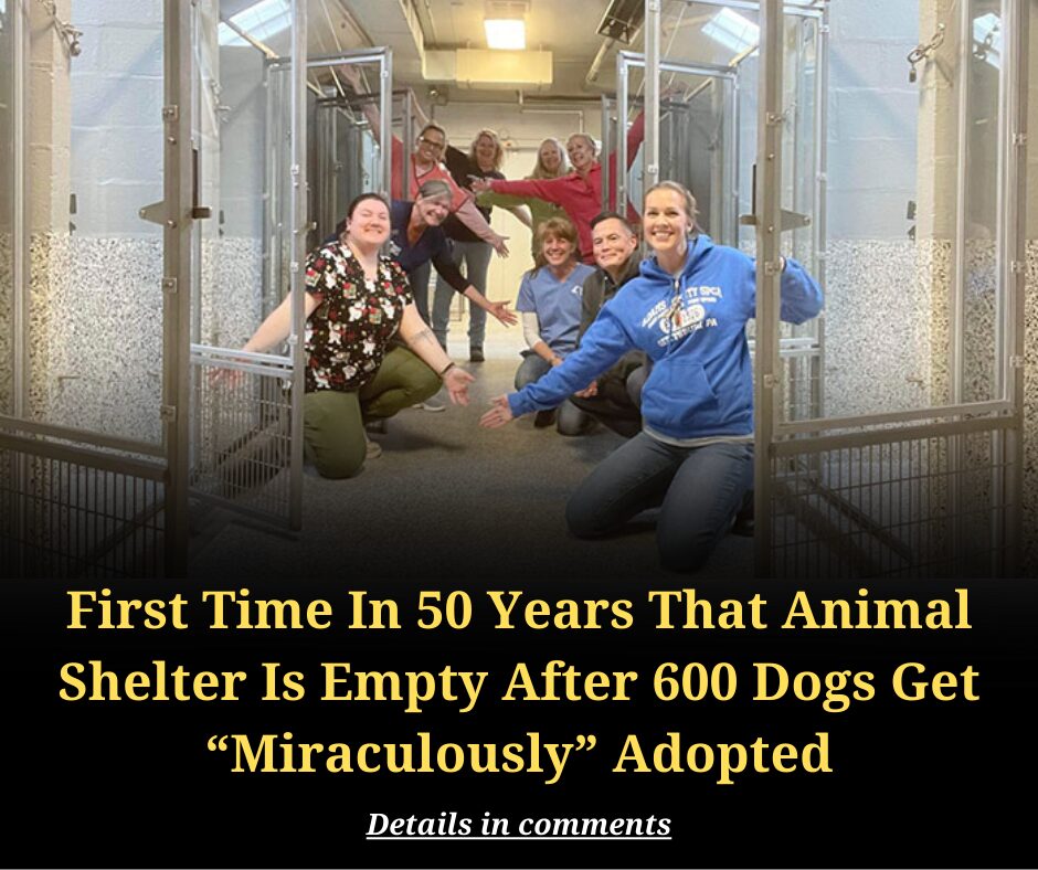 First Time In 50 Years That Animal Shelter Is Empty After 600 Dogs Get “Miraculously” Adopted