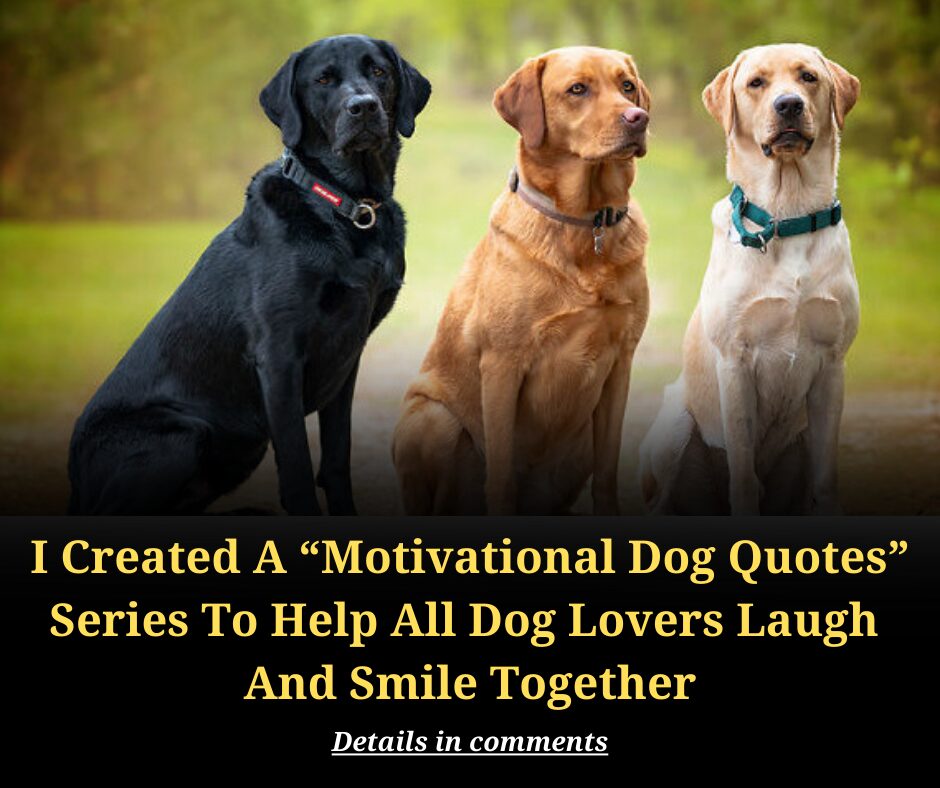 I Created A “Motivational Dog Quotes” Series To Help All Dog Lovers Laugh  And Smile Together