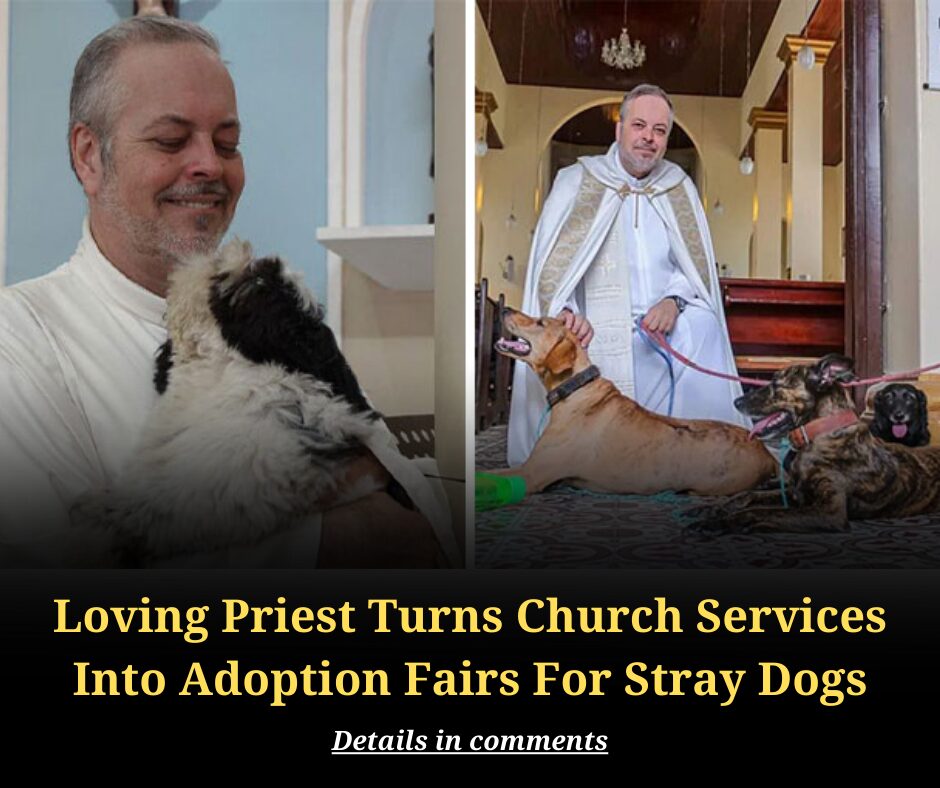 Loving Priest Turns Church Services Into Adoption Fairs For Stray Dogs