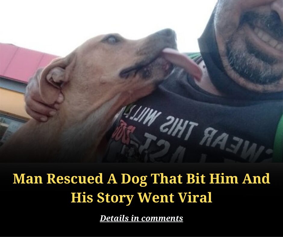 Man Rescued A Dog That Bit Him And His Story Went Viral