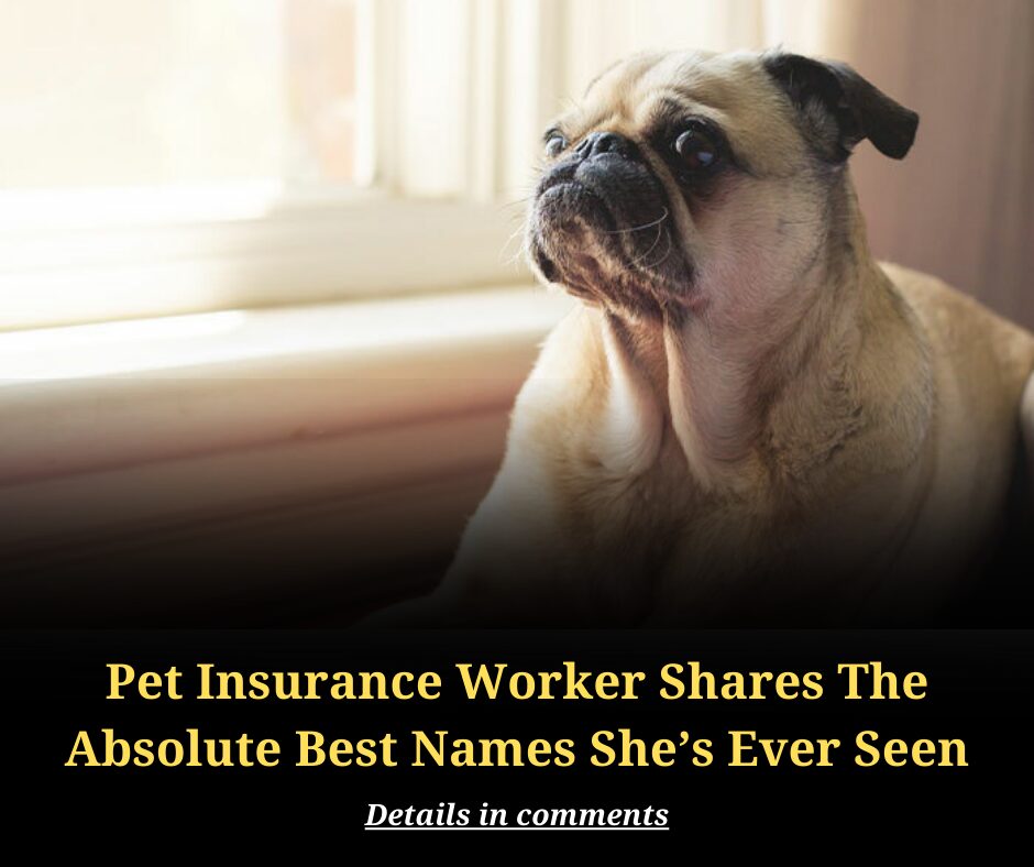 Pet Insurance Worker Shares The Absolute Best Names She’s Ever Seen