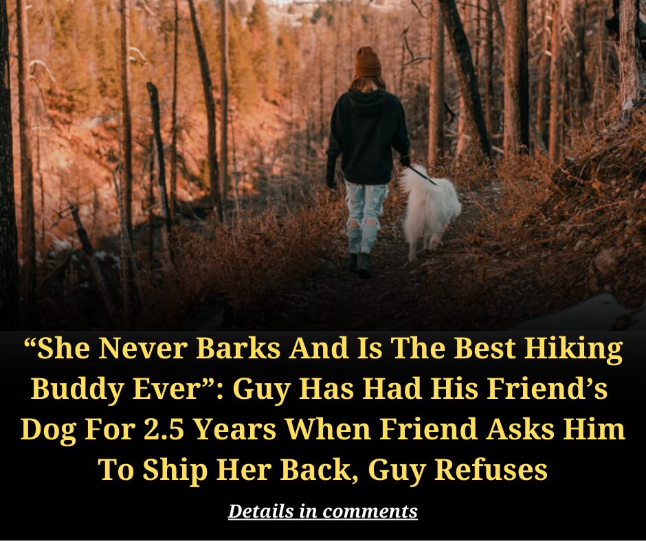 “She Never Barks And Is The Best Hiking Buddy Ever”: Guy Has Had His Friend’s Dog For 2.5 Years When Friend Asks Him To Ship Her Back, Guy Refuses