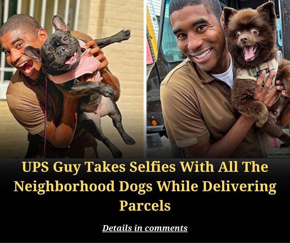 UPS Guy Takes Selfies With All The Neighborhood Dogs While Delivering Parcels