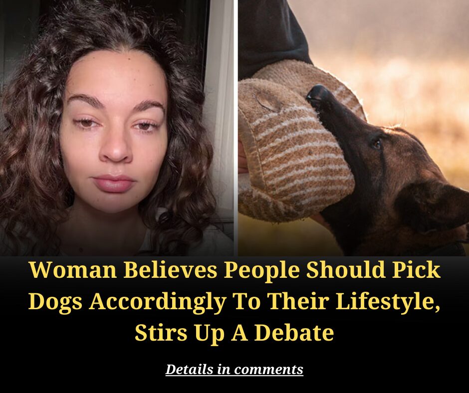 Woman Believes People Should Pick Dogs Accordingly To Their Lifestyle, Stirs Up A Debate