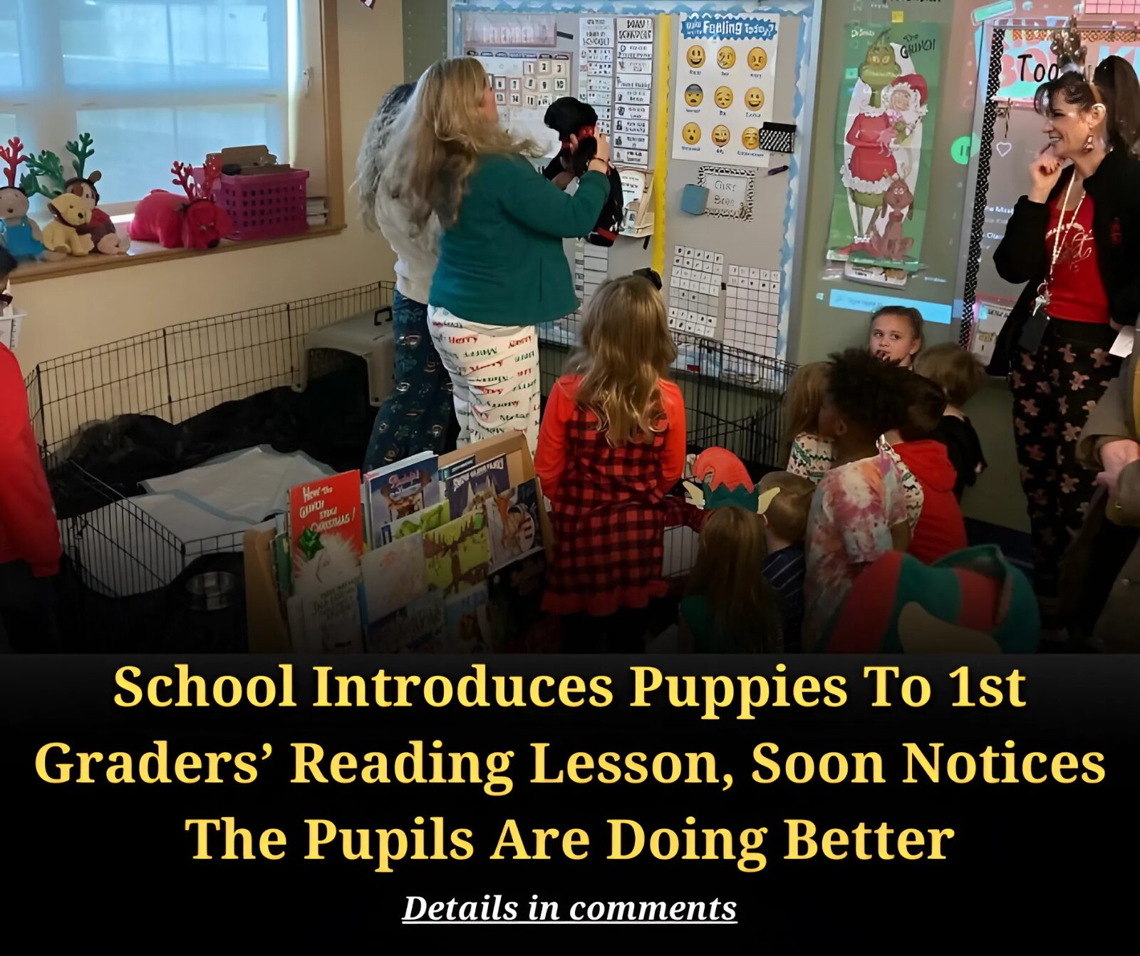 School Introduces Puppies To 1st Graders’ Reading Lesson, Soon Notices The Pupils Are Doing Better