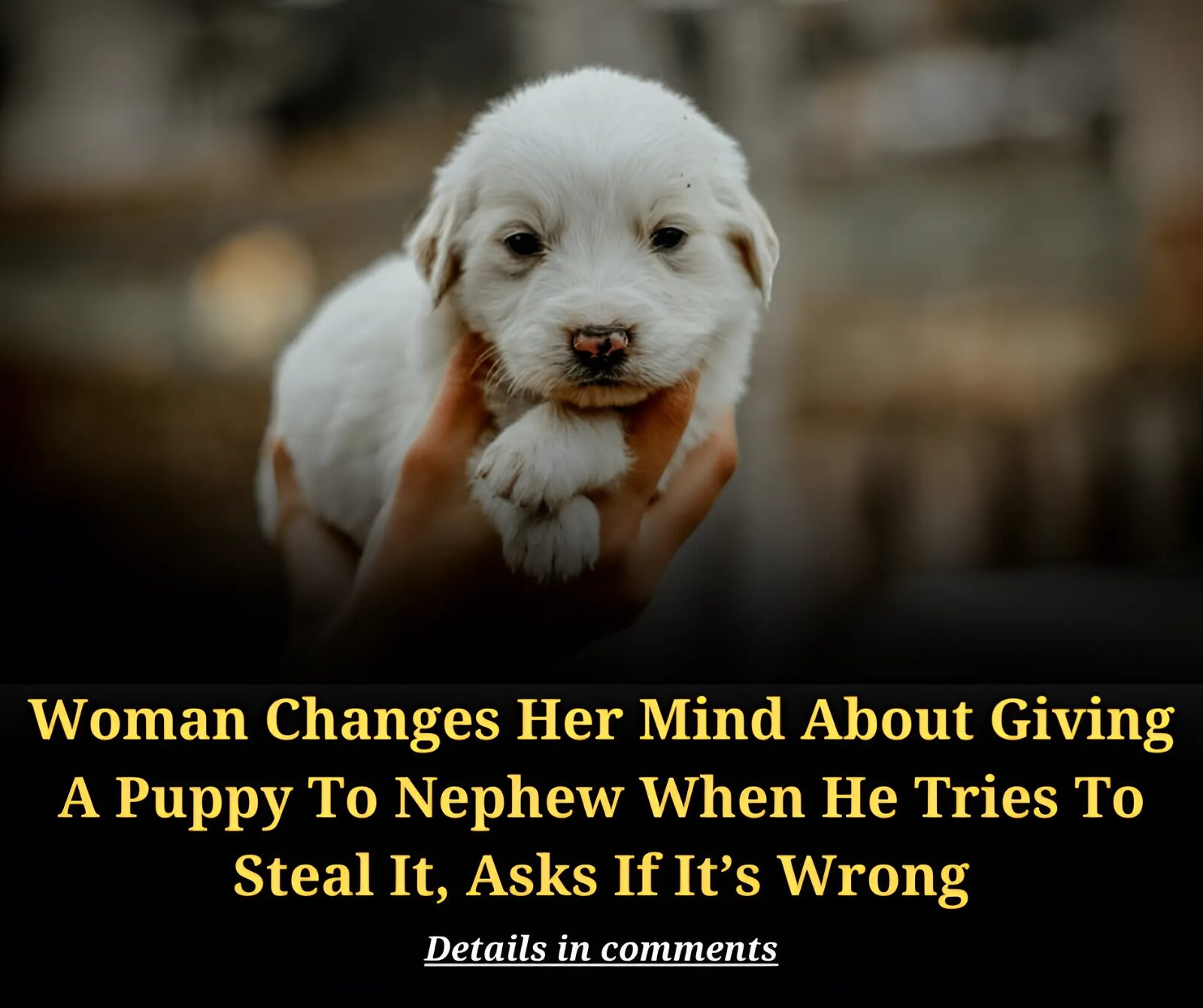 Woman Changes Her Mind About Giving A Puppy To Nephew When He Tries To Steal It, Asks If It’s Wrong