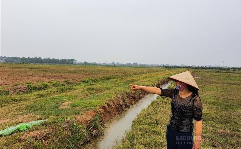 Chi tiết điều kiện, giấy tờ và thủ tục người dân cần chuẩn bị nếu muốn bán đất nông nghiệp