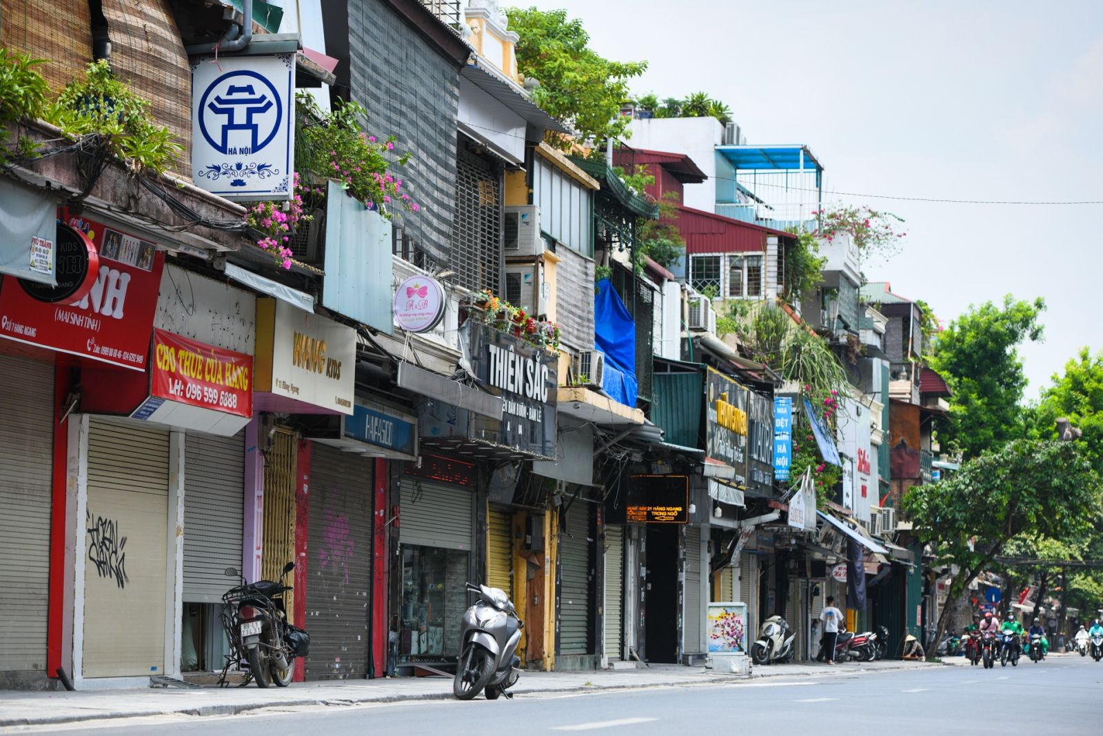 Nhà phố 14 tỷ rao bán 2 tuần có khách mua: “Ai bảo thị trường địa ốc đang đóng băng?”