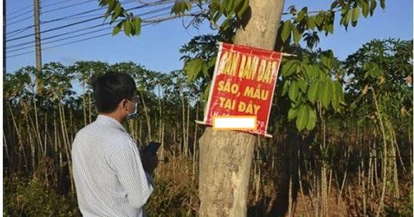 Từ bàn tay trắng, nhờ sử dụng “đòn bẩy tài chính” mua bất động sản, một nhà đầu tư kiếm hơn 100 tỷ sau hơn 10 năm