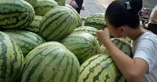 Chẳng cần vỗ mỏi tay, nhìn vào 5 điểm bên ngoài là chọn được dưa hấu ngon ngọt