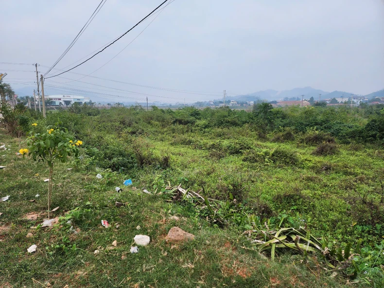 Cưỡng chế giải phóng mặt bằng thực hiện dự án trọng điểm tại Phú Thọ