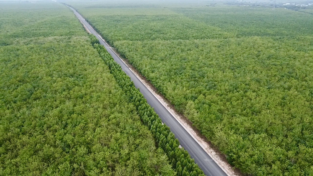 Đường Hồ Chí Minh qua Bình Dương dự kiến ‘về đích’ sớm 4 tháng