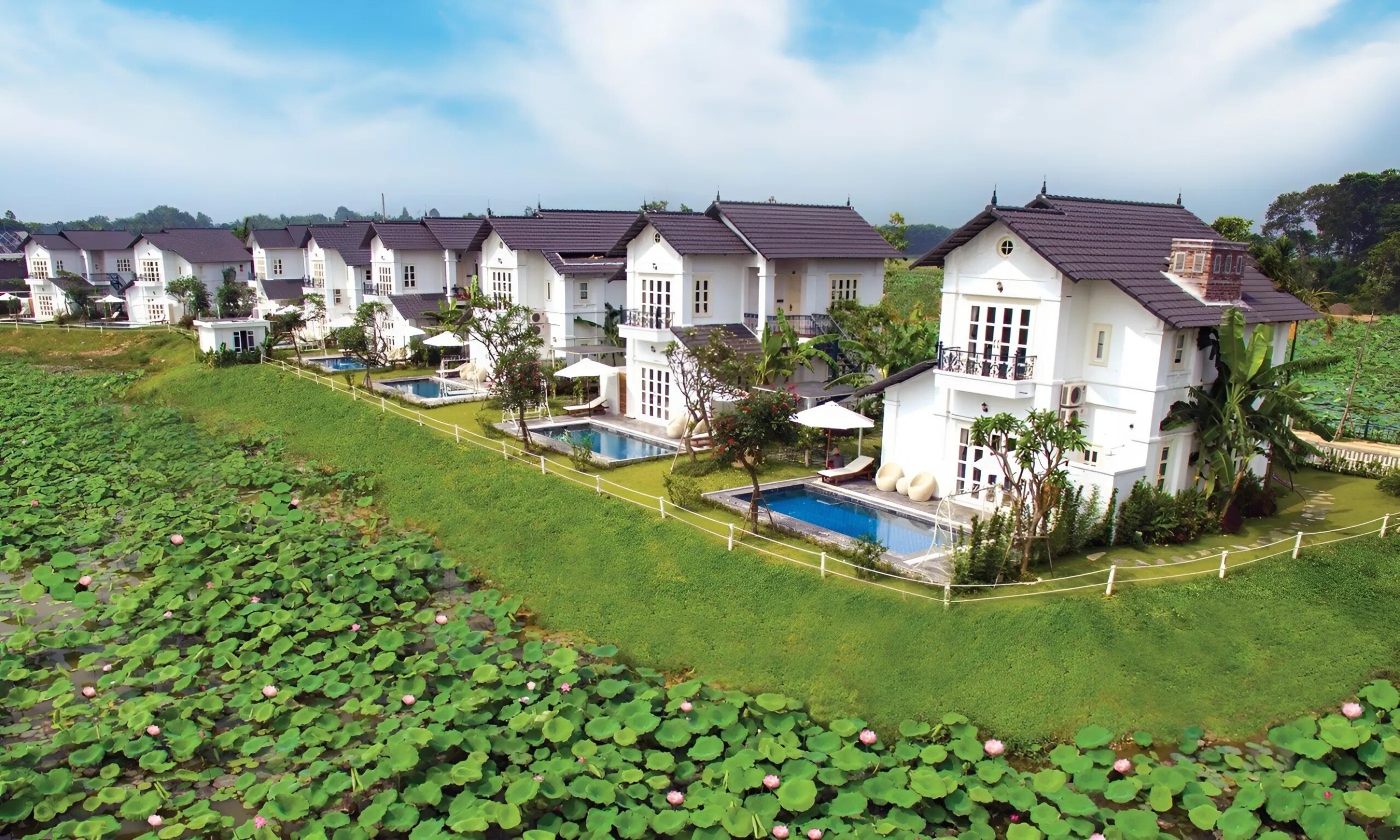 Hé lộ danh tính chủ đầu tư của 9 dự án sai phạm trên địa bàn Phú Thọ