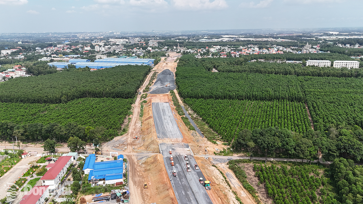 Tháo gỡ khó khăn, đẩy nhanh tiến độ 2 cao tốc qua Đồng Nai