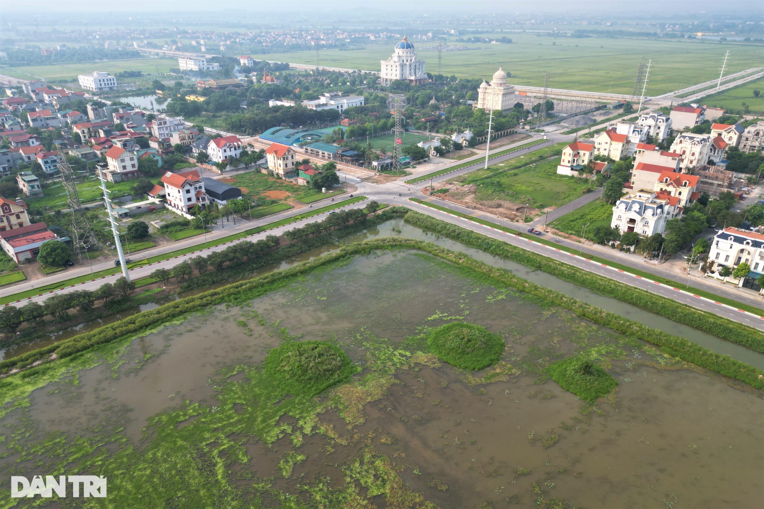 20ha “đất vàng” bị bỏ hoang, cỏ dại mọc um tùm ở Ninh Bình
