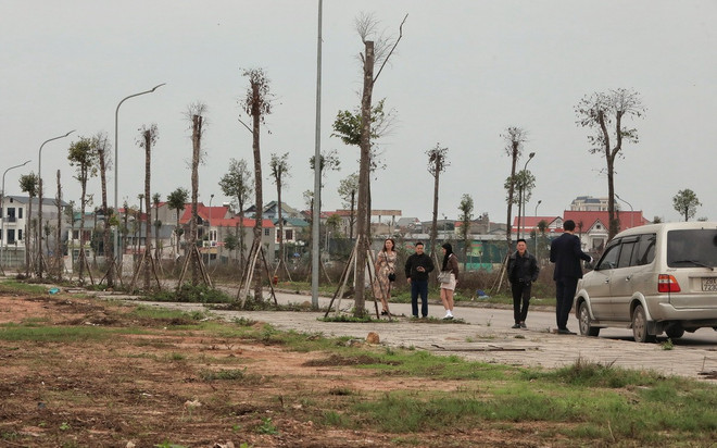 Bắc Giang: Giá đất nền leo thang, nhà đầu tư nghe ngóng thông tin sáp nhập