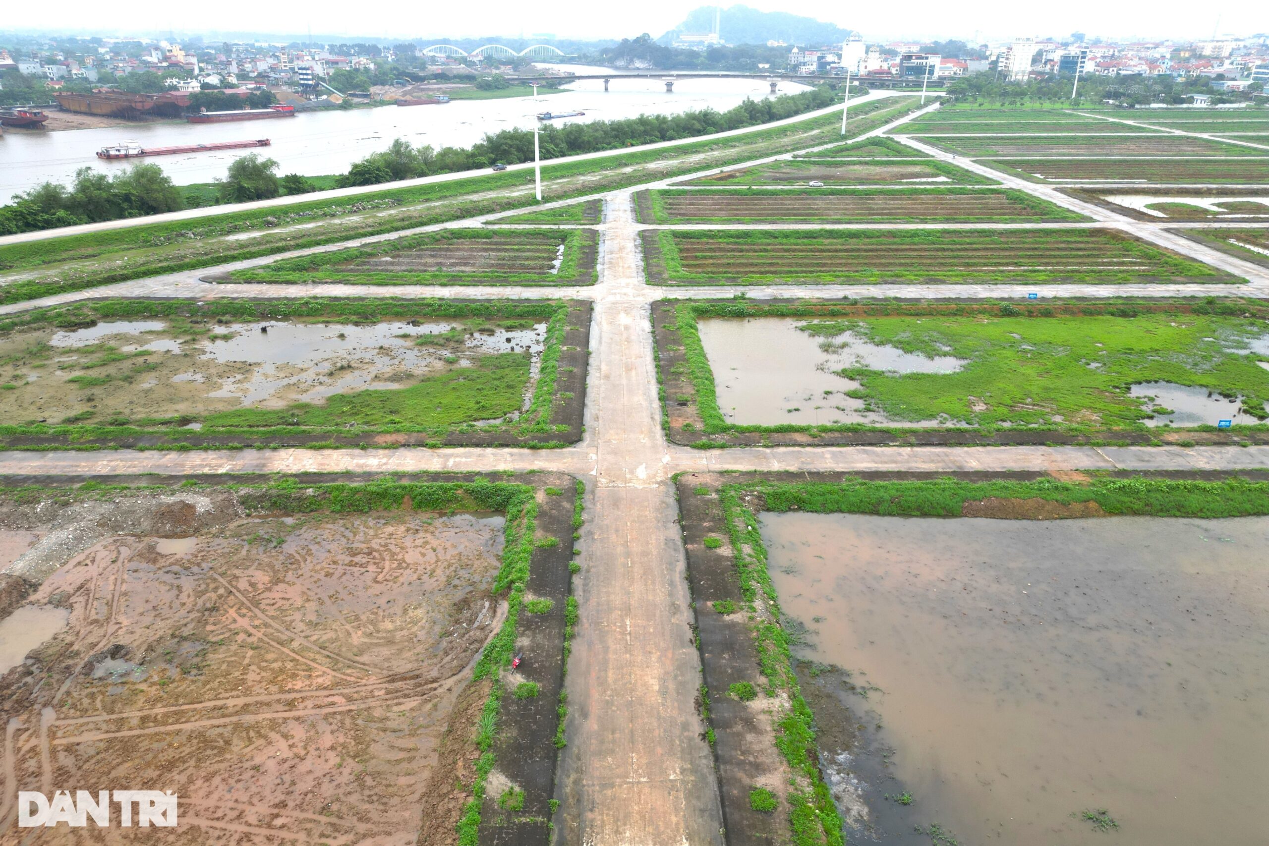 Ninh Bình: Khu “đất vàng” nghìn tỷ đồng bất đắc dĩ thành vườn ươm cây